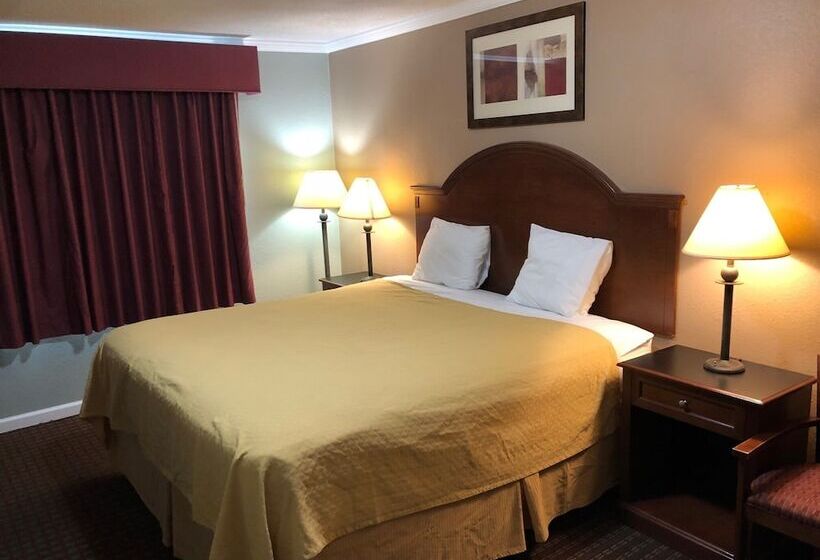 汽车旅馆  American Inn