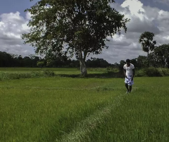 Lomakeskus Uga Ulagalla   Anuradhapura