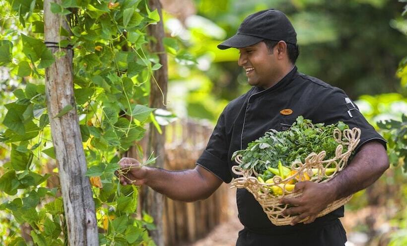 Resort Uga Ulagalla Anuradhapura
