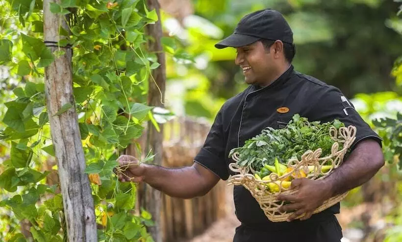 Lomakeskus Uga Ulagalla   Anuradhapura