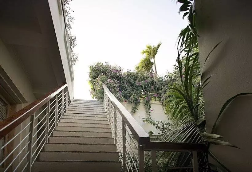 هتل Casablanca Belle & Boutique