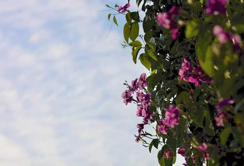 هتل Casablanca Belle & Boutique