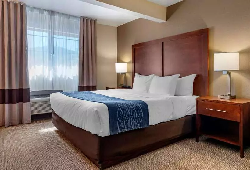 Отель Comfort Inn & Suites Ukiah Mendocino County