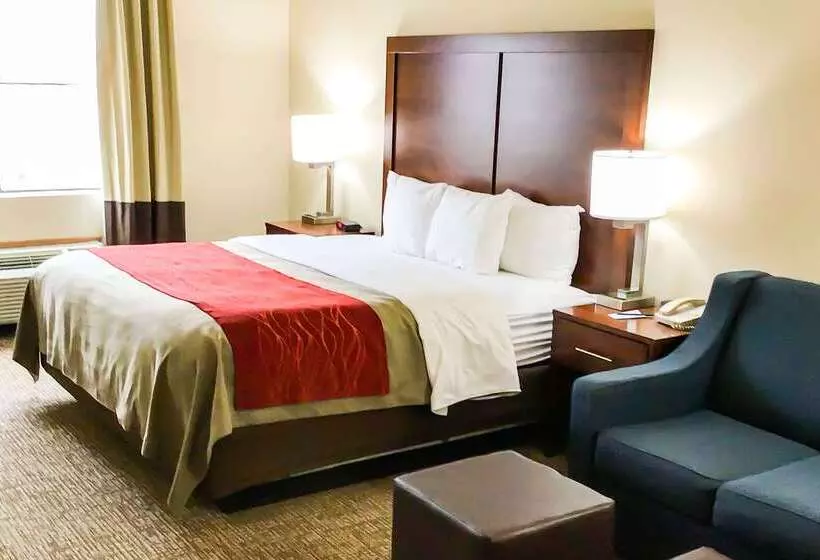 酒店 Comfort Inn And Suites Yuma I 8