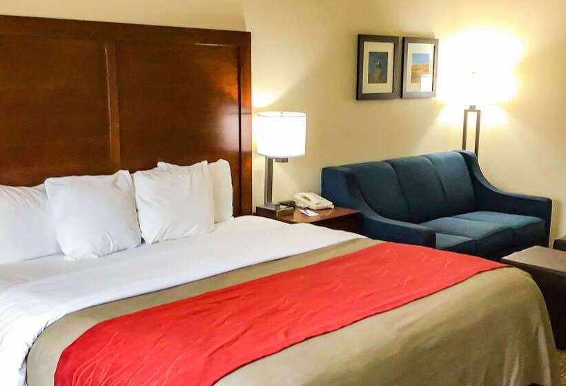 Отель Comfort Inn And Suites Yuma I 8