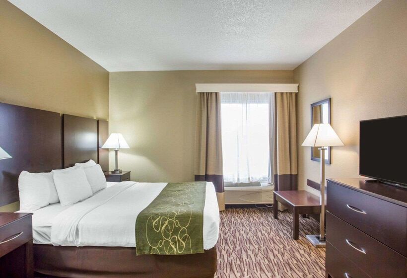 酒店 Comfort Suites