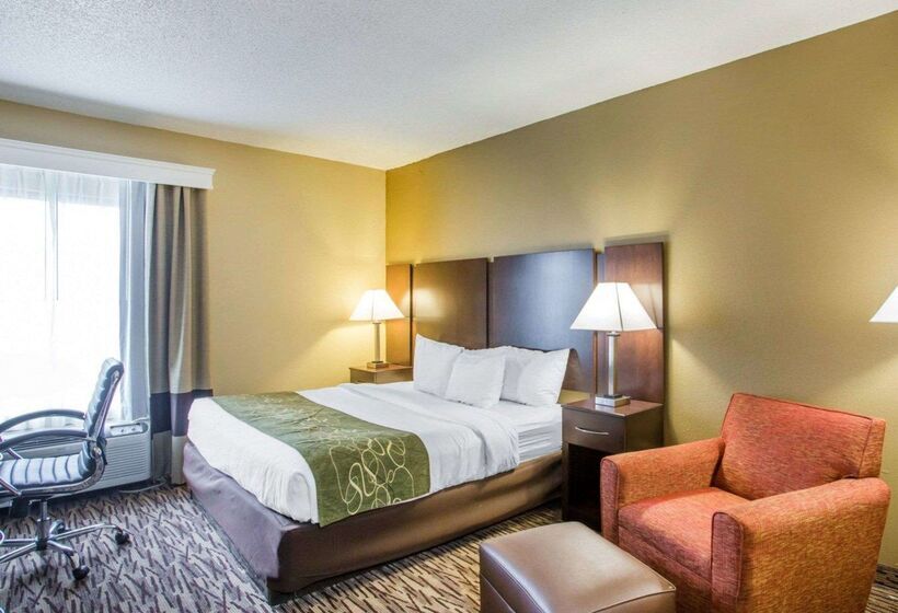 酒店 Comfort Suites