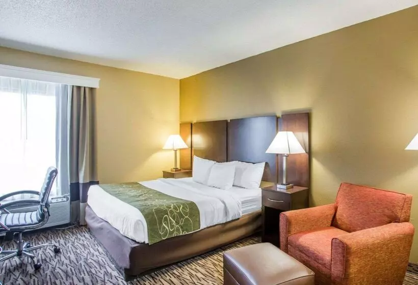 Отель Comfort Suites