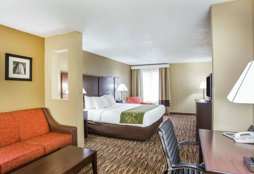 酒店 Comfort Suites