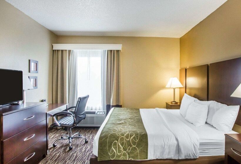 酒店 Comfort Suites