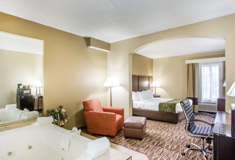 酒店 Comfort Suites