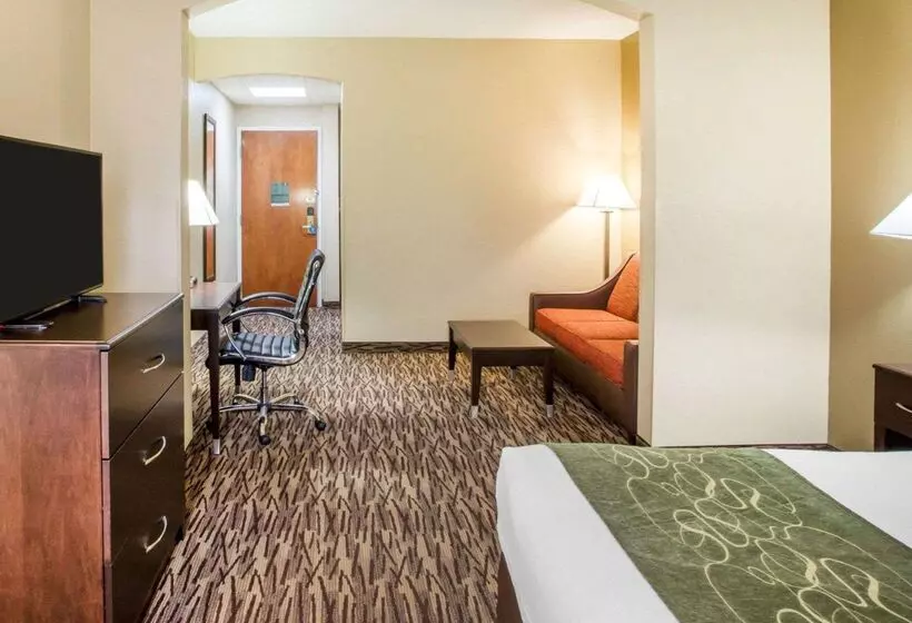 Отель Comfort Suites