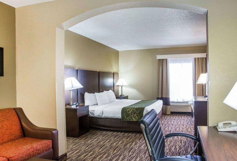 酒店 Comfort Suites