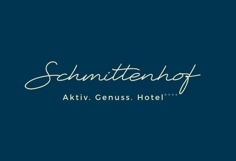 فندق Der Schmittenhof