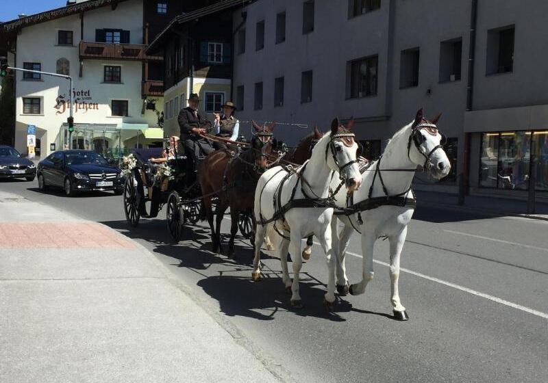 فندق Der Schmittenhof