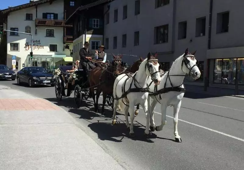 فندق Der Schmittenhof