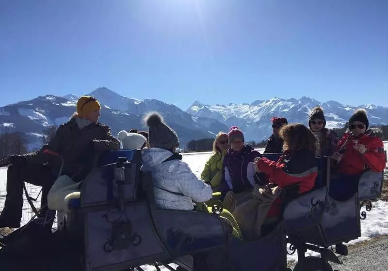 فندق Der Schmittenhof