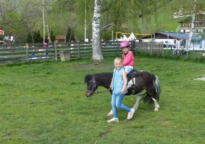 فندق Der Schmittenhof