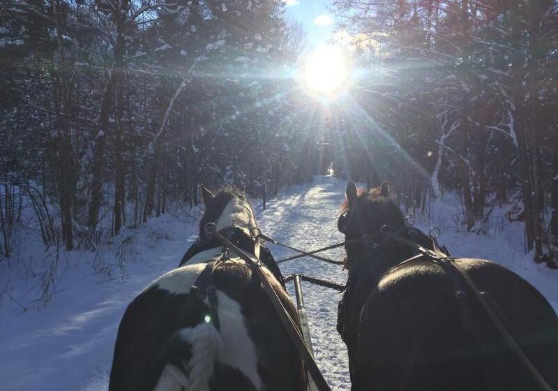 فندق Der Schmittenhof