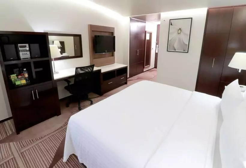 Holiday Inn Hotel & Suites Medica Sur By Ihg