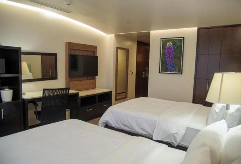 Holiday Inn Hotel & Suites Medica Sur By Ihg