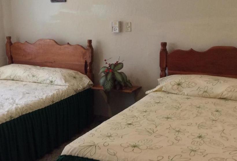 ホテル La Mansion Del Viejo Roble