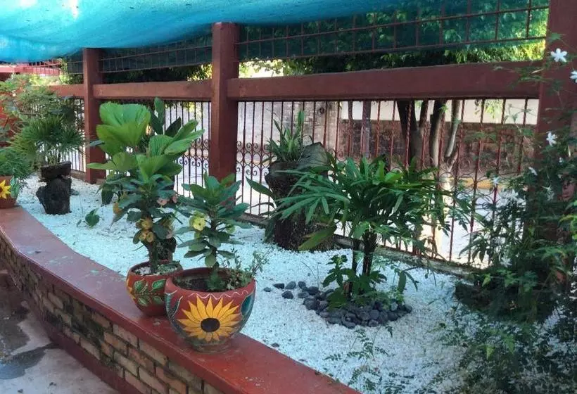 호텔 La Mansion Del Viejo Roble