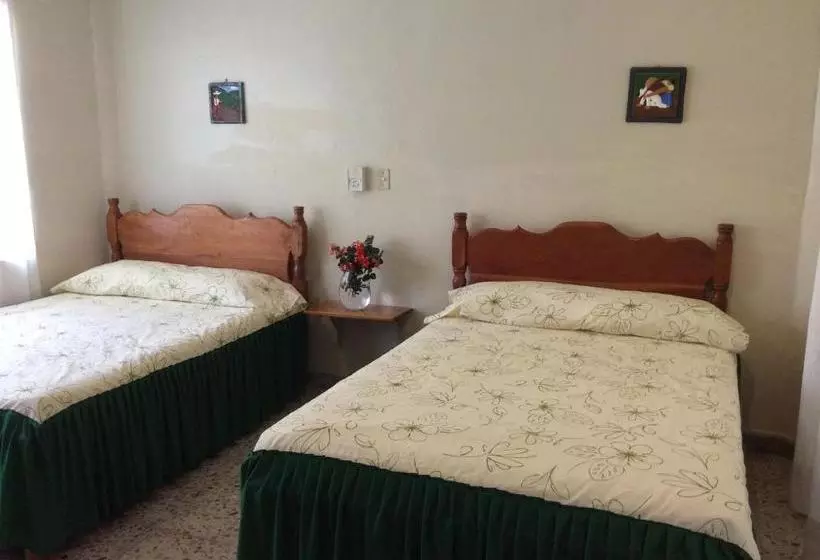 호텔 La Mansion Del Viejo Roble