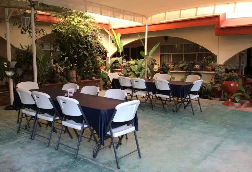 호텔 La Mansion Del Viejo Roble