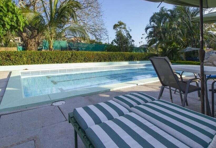 فندق Parotas Manzanillo