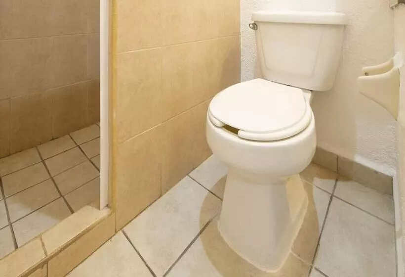 酒店 Parotas Manzanillo