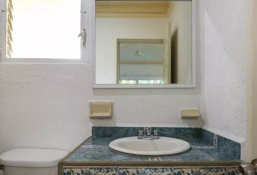 酒店 Parotas Manzanillo