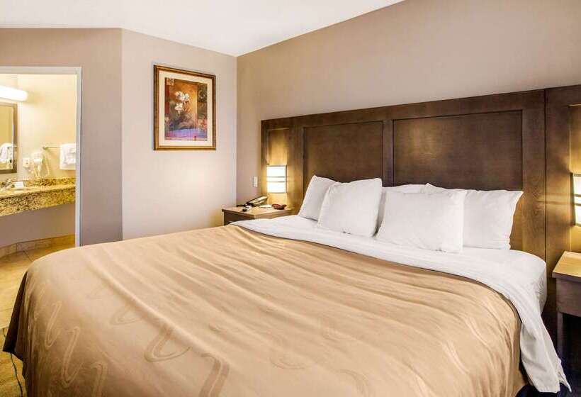 ホテル Quality Inn