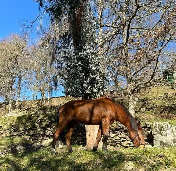 هتل روستایی Aldea Couso Rural