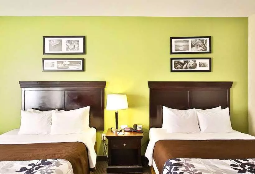Отель Sleep Inn & Suites University