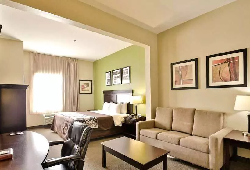 Отель Sleep Inn & Suites University