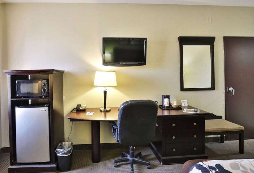 Otel Sleep Inn & Suites University