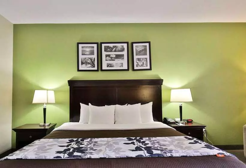 Отель Sleep Inn & Suites University
