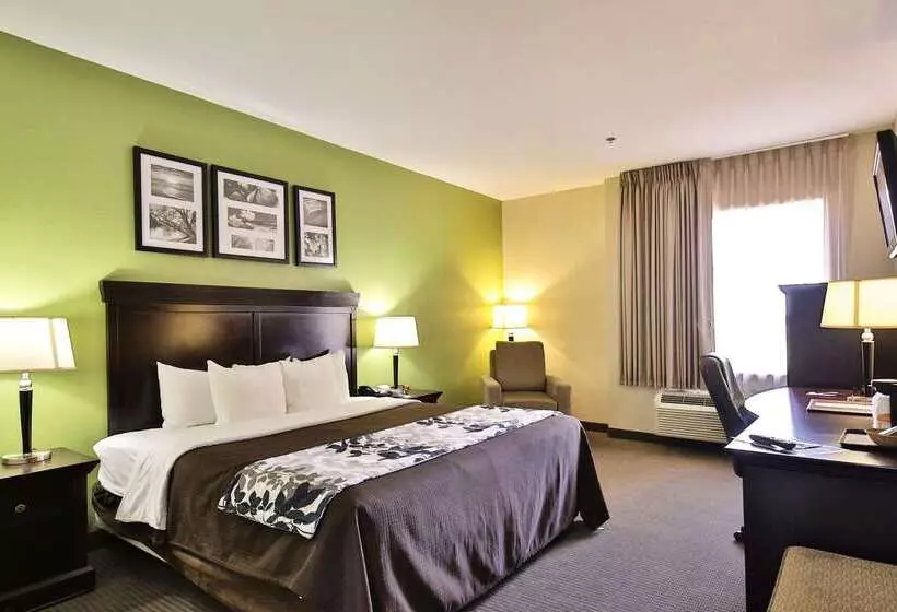 Отель Sleep Inn & Suites University