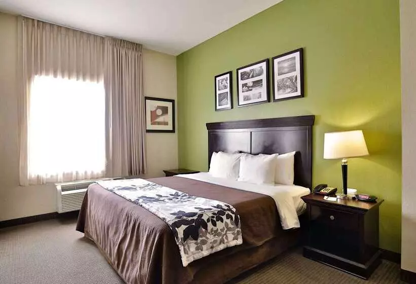 Отель Sleep Inn & Suites University