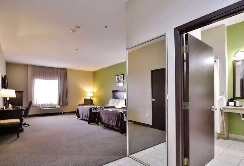 Отель Sleep Inn & Suites University