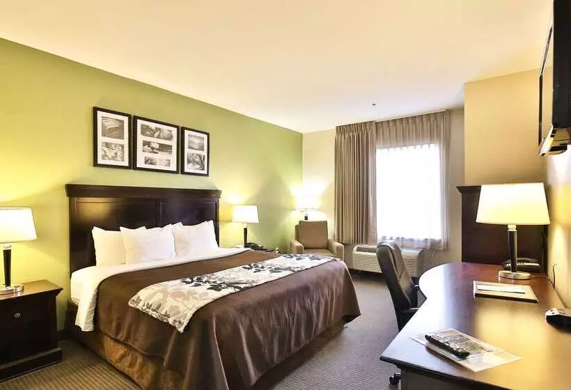 Отель Sleep Inn & Suites University