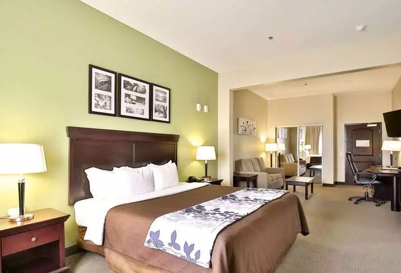Отель Sleep Inn & Suites University