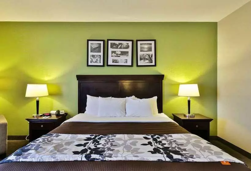 Отель Sleep Inn & Suites University