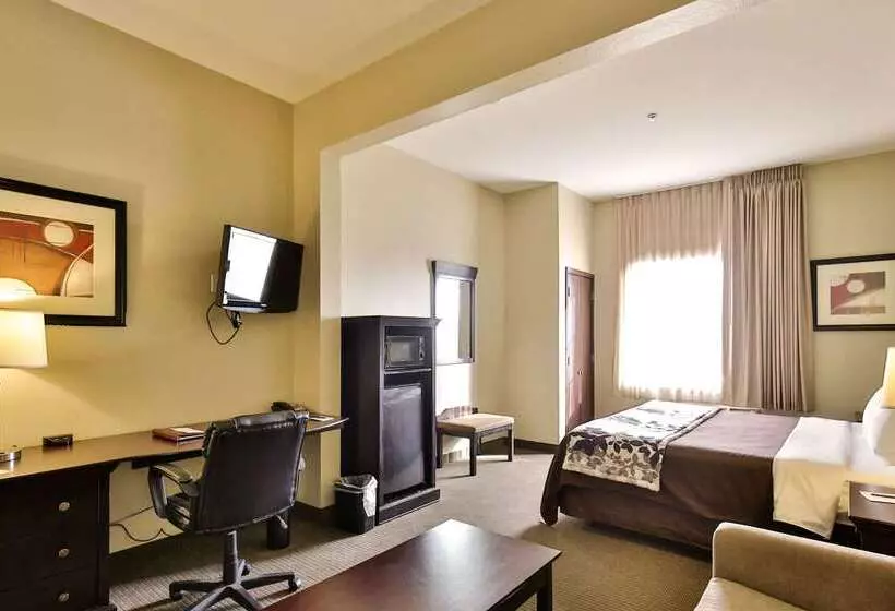 Отель Sleep Inn & Suites University