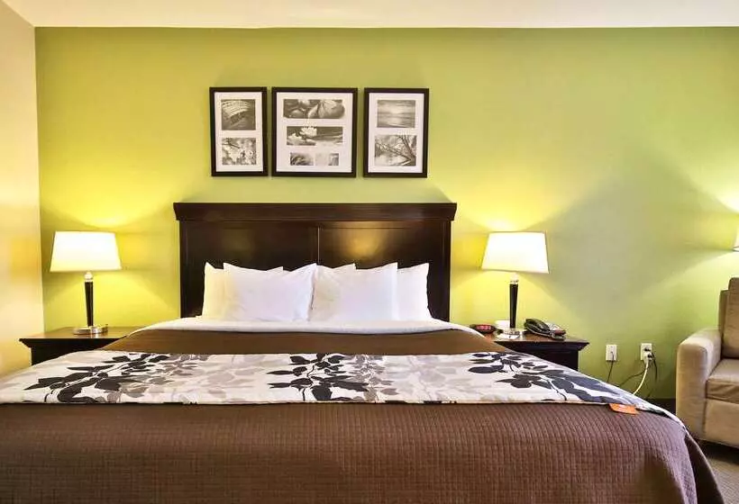 Отель Sleep Inn & Suites University