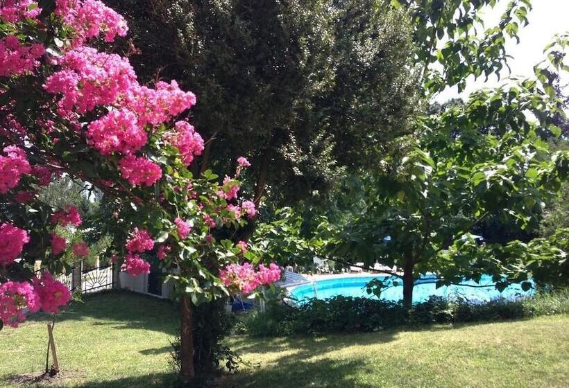 Vezhen Hotel   Free Parking