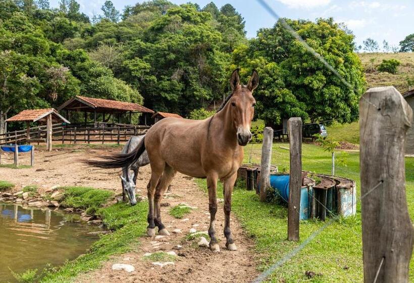 호텔 Villa Di Mantova Resort