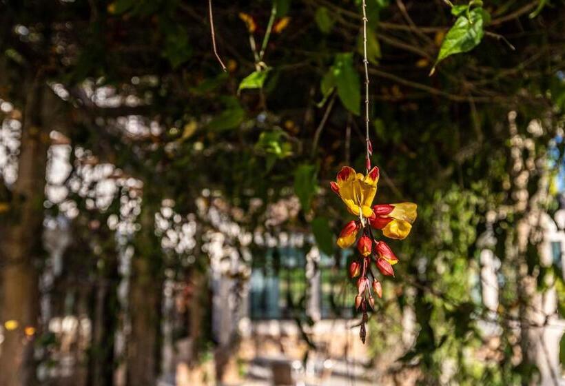 호텔 Villa Di Mantova Resort