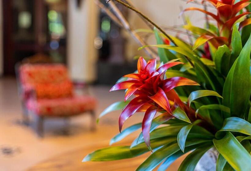 호텔 Villa Di Mantova Resort